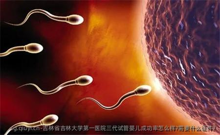 吉林省吉林大学第一医院三代试管婴儿成功率怎么样?需要什么证件?