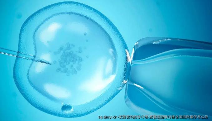 试管医院的排行榜,试管医院排行榜国内西府辅孕怎么去